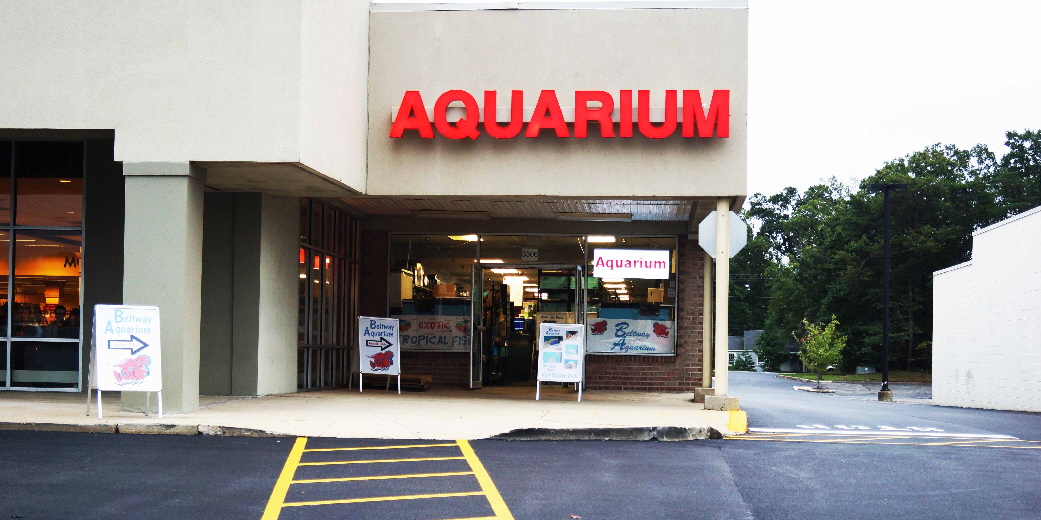 BeltwayAquarium.jpg