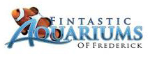 FintasticAquariium.jpg