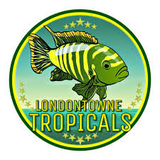 LondontowneTropicals.jpg